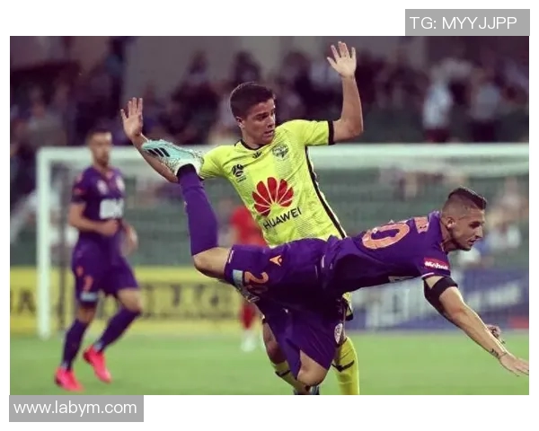 珀斯光荣与惠灵顿凤凰对决分析及赛前推荐策略分享